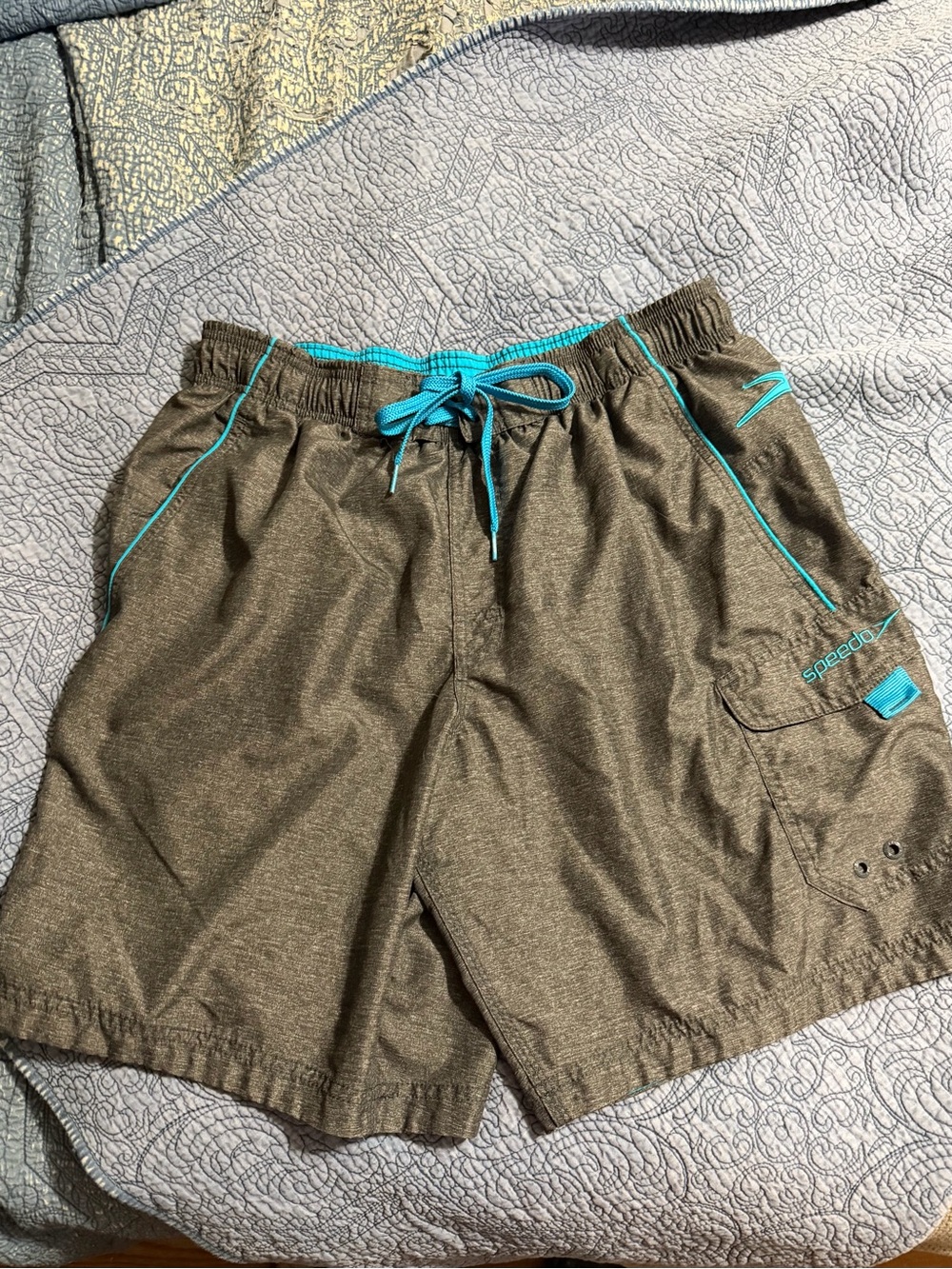 Speedo Grey Swim Shorts with Turquoise Accents